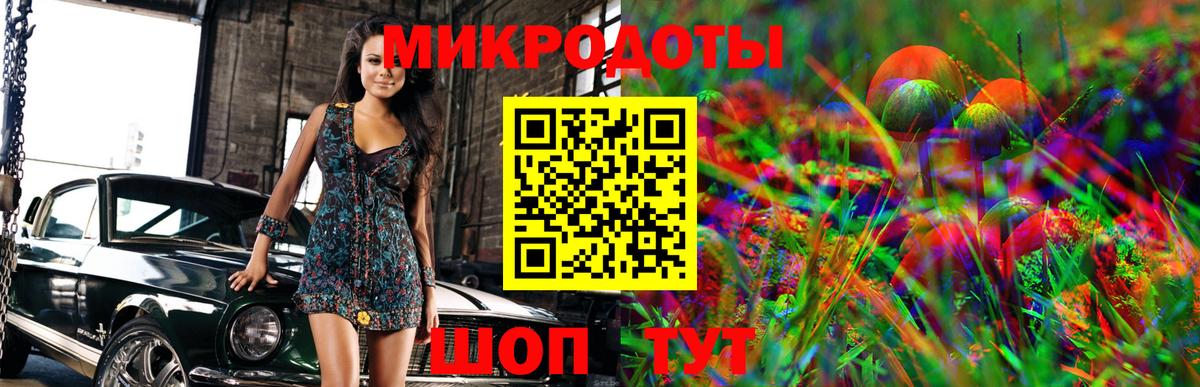 Борзя  Галлюциногенные грибы Psilocybe  Вход с VPN 